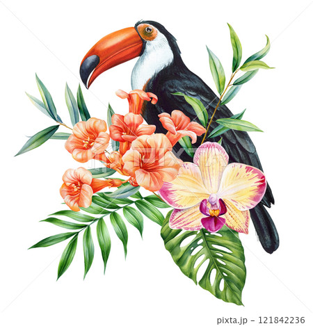 Toucan with tropical flowers and leaves. Exotic watercolor bird illustration for cards, posters, isolated jungle design 121842236