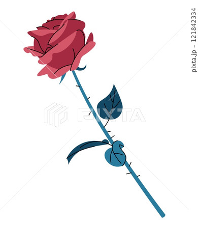 Rose with thorns in flat cartoon style. Beautiful flower on white background. Vector illustration for Valentine's day for cards, stickers, banners, etc. 121842334