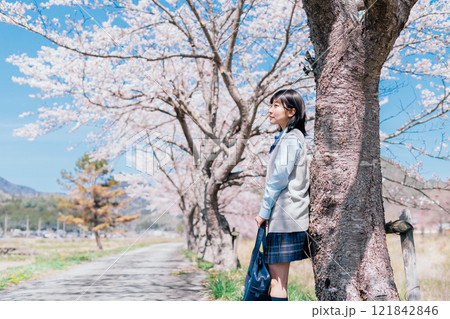 桜と高校生 桜と高校生 121842846