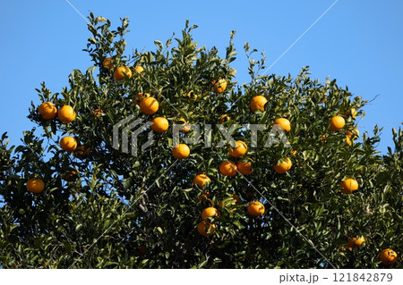 利根川水系 利根川水系 121842879