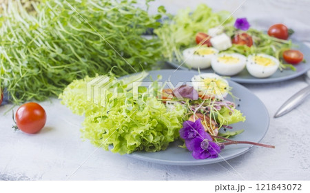 Healthy salad with lettuce, cherry tomatoes, mozzarella cheese and microgreens, on a plate, light background Healthy salad with lettuce, cherry tomatoes, mozzarella cheese and microgreens, on a plate, light background 121843072