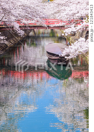 大垣市の満開の桜: 春の風景【岐阜県】 121843413