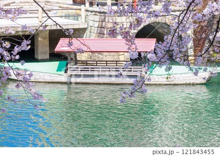 大垣市の満開の桜: 春の風景【岐阜県】 大垣市の満開の桜: 春の風景【岐阜県】 121843455