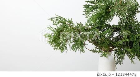 Natural, minimalist home decor style, vase with thuja branches arranged 121844478