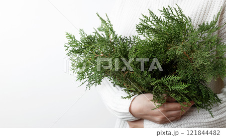 Winter and natural beauty, a woman in a white sweater holding thuja branches 121844482