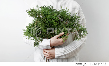 Winter and natural beauty, a woman in a white sweater holding thuja branches 121844483