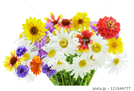 bouquet of various summer flowers on white background 121844777
