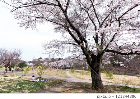 都立狭山公園 121844886