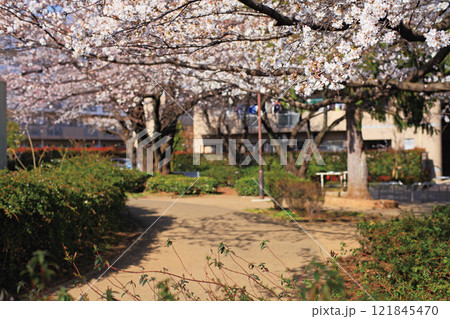 所沢 緑町中央公園 121845470