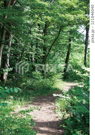 所沢 トトロの森12号地 所沢 トトロの森12号地 121846040