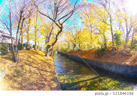寒空の昭島市美堀橋から望む玉川上水 寒空の昭島市美堀橋から望む玉川上水 121846198