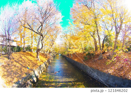 寒空の昭島市美堀橋から望む玉川上水 121846202