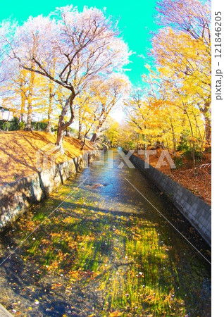 寒空の昭島市美堀橋から望む玉川上水 121846205