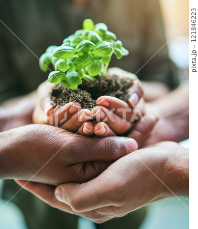 Closeup of green, natural and eco friendly group of hands holding planting soil together, for gardening or farming. Nature environment team with fresh earth and growth of small plant. Closeup of green, natural and eco friendly group of hands holding planting soil together, for gardening or farming. Nature environment team with fresh earth and growth of small plant. 121846223