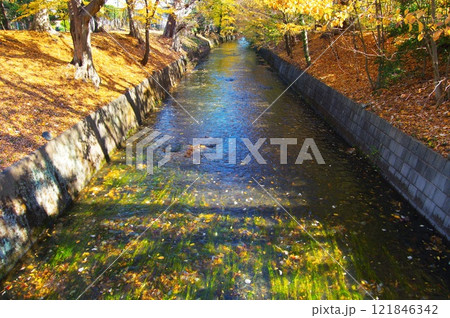 寒空の昭島市美堀橋から望む玉川上水 寒空の昭島市美堀橋から望む玉川上水 121846342