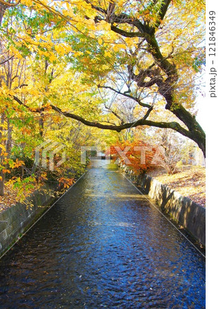 寒空の昭島市美堀橋から望む玉川上水 寒空の昭島市美堀橋から望む玉川上水 121846349