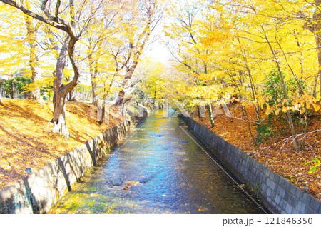 寒空の昭島市美堀橋から望む玉川上水 121846350