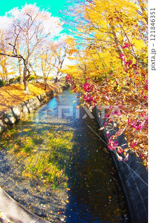 寒空の昭島市美堀橋から望む玉川上水 寒空の昭島市美堀橋から望む玉川上水 121846351