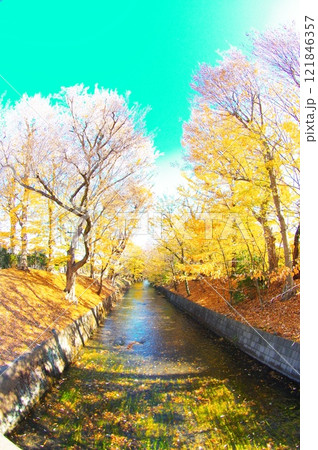 寒空の昭島市美堀橋から望む玉川上水 寒空の昭島市美堀橋から望む玉川上水 121846357