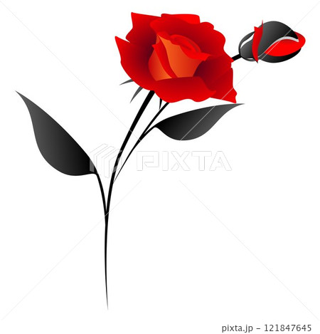 Design element red rose with a bud. Design element red rose with a bud. 121847645