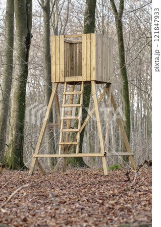 Hunting tower, wooden treehouse and observation structure in a forest or remote countryside woods. Timber wood lookout built for watching wildlife, birds and wild animals in quiet and peaceful nature Hunting tower, wooden treehouse and observation structure in a forest or remote countryside woods. Timber wood lookout built for watching wildlife, birds and wild animals in quiet and peaceful nature 121847933