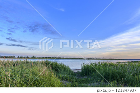 Landscape wild grass near a lake with reeds growing against a blue calm, peaceful and quiet blue horizon in nature. Secluded lagoon, river or seaside in Norway used for fishing on blue sky background Landscape wild grass near a lake with reeds growing against a blue calm, peaceful and quiet blue horizon in nature. Secluded lagoon, river or seaside in Norway used for fishing on blue sky background 121847937