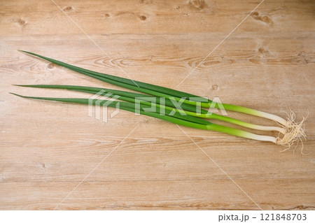 九条ネギ、京野菜、ねぎ、ネギ、野菜。 121848703