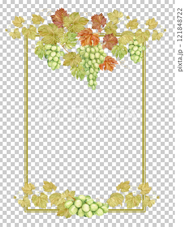 Watercolor vertical frame with grapes. Illustration of grapevine, green berries and leaves. Frame for white wine, jam, juice label. Clipart for wine, cafe, restaurant. 121848722