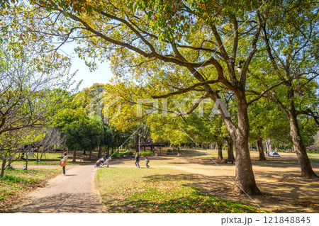 船橋市 行田公園 121848845