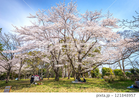 船橋市 行田公園 船橋市 行田公園 121848957
