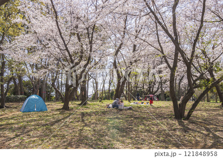 船橋市 行田公園 船橋市 行田公園 121848958