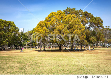 船橋市 行田公園 121848961
