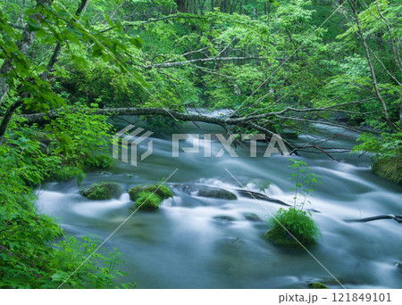奥入瀬渓流 121849101