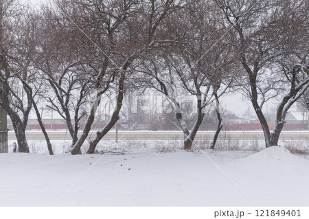【ウクライナ】東部ドンバス地方の積雪と街路樹と道路 121849401