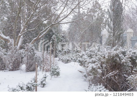 【ウクライナ】東部ドンバス地方の雪深い公園 121849403