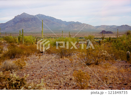 Sonora Desert Arizona Picacho Peak State Park on Film 121849735
