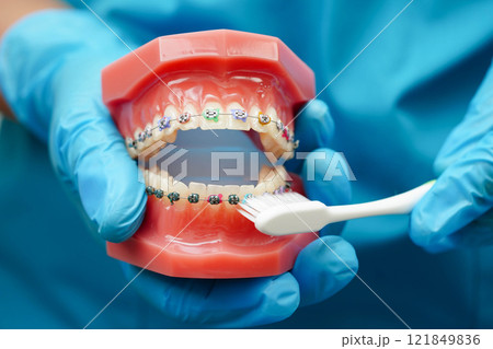Doctor clean teeth denture with toothbrush for teach patient and dentist studying about dentistry. 121849836