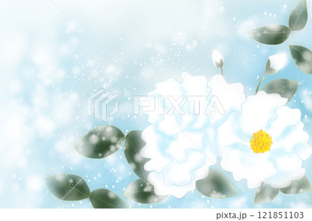 山茶花と雪のカード2 山茶花と雪のカード2 121851103