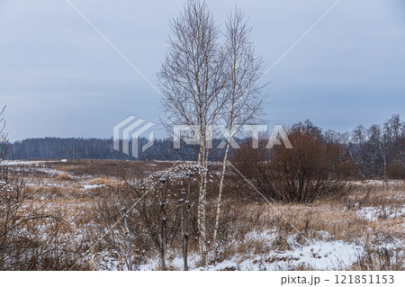 November landscape with first snow 121851153