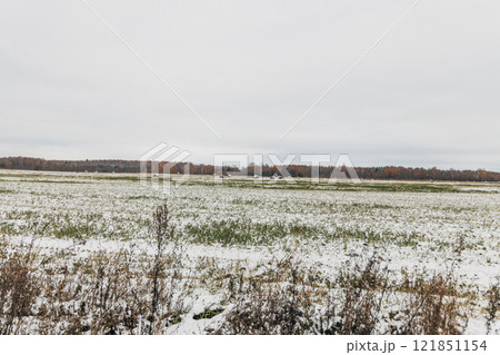 snowy hay bales with fog near farm 121851154