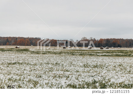 snowy hay bales with fog near farm 121851155