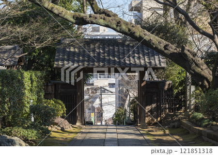 東京北区赤羽の静勝寺の境内 東京北区赤羽の静勝寺の境内 121851318