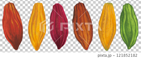 カラフルなカカオ豆のイラストセット 121852182