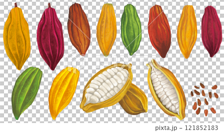 可可豆插圖集 121852183