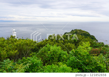 椿山展望台から見る佐田岬灯台 椿山展望台から見る佐田岬灯台 121852838