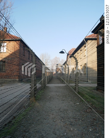 アウシュビッツ強制収容所の鉄条網(ポーランド) アウシュビッツ強制収容所の鉄条網(ポーランド) 121853037