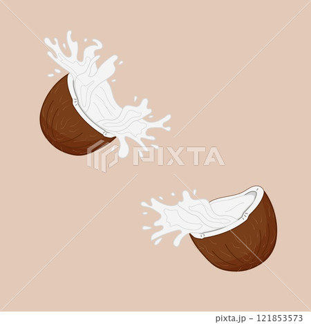 Coconuts bursting open and splashing coconut water in minimalist style. Isolated vector illustration. 121853573