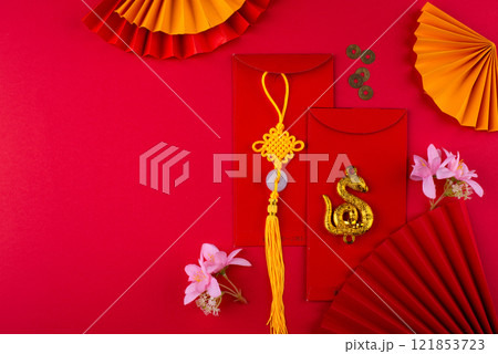 Chinese new year concept. Lunar year of snake 121853723