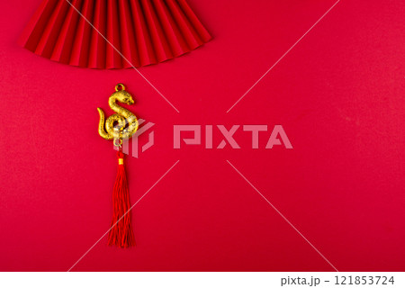 Chinese new year concept. Lunar year of snake 121853724