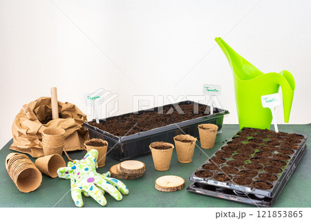 Planting tomato and pepper seeds in plastic containers and eco-pots Planting tomato and pepper seeds in plastic containers and eco-pots 121853865